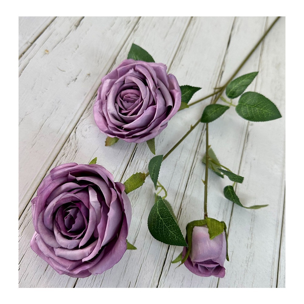 3 teste di rosa viola
