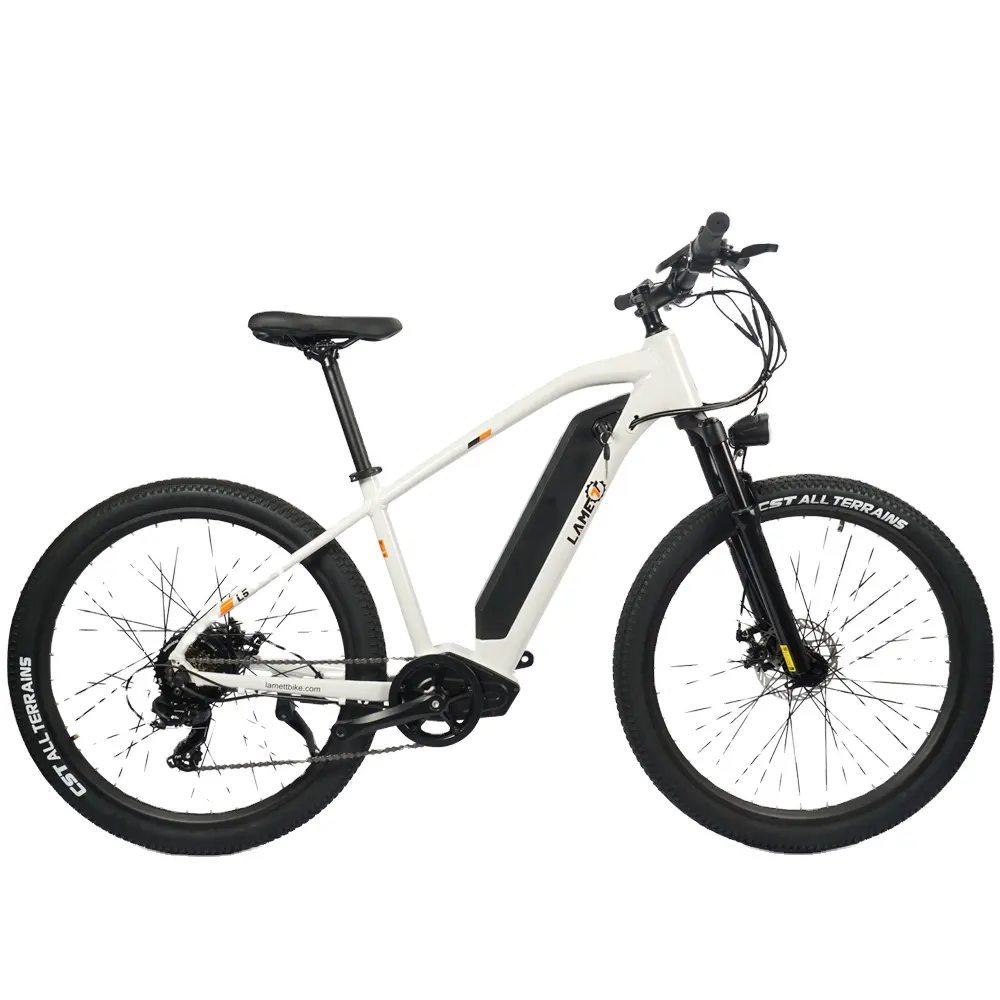 Odm-bicicleta eléctrica de montaña, Motor de torsión de alta potencia, batería de fácil extracción, neumático de 27,5 pulgadas