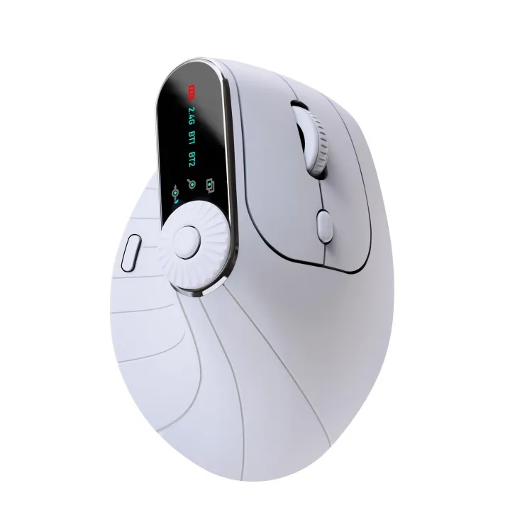 Ergonomische 2,4 GHz BT RGB-Maus OEM Custom ized Dual Mode Laptop Desktop Office Silent Wireless Vertical Gaming Mouse