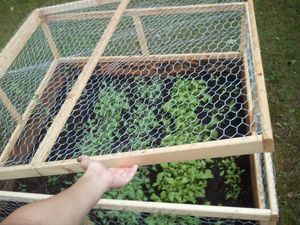 Sechseckiger Maschendraht zaun Hex Chicken Mesh Zaun Sechseckiges Draht geflecht - Product Image 6