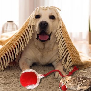 Juguetes interactivos de entrenamiento, juguetes de hierba gatera que se mueven automáticamente para gatos, pelota eléctrica para mascotas, pelota rodante automática, juguetes inteligentes para gatos - Product Image 3