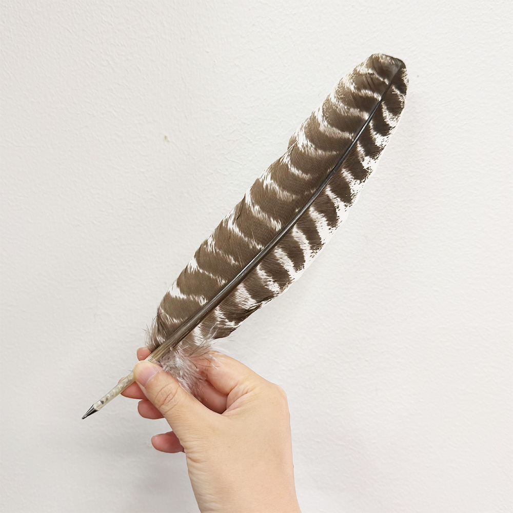 Brown quill pen