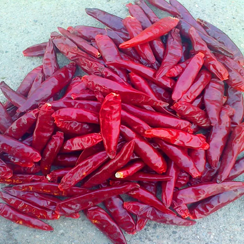 DRIED RED CHILI SPICY FOR COOKING AND SEASONING FROM VIETNAM/VIETNAM DRIED CHILI PEPPER GOOD PRICE