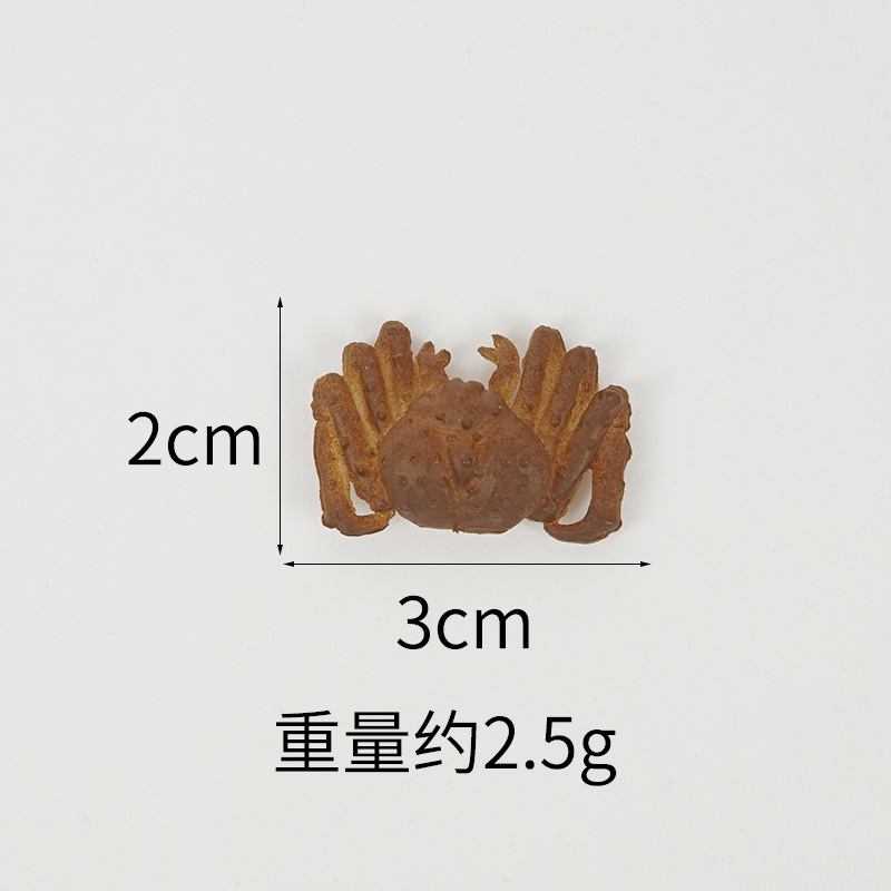 Un crabe royal bleu de 3 cm