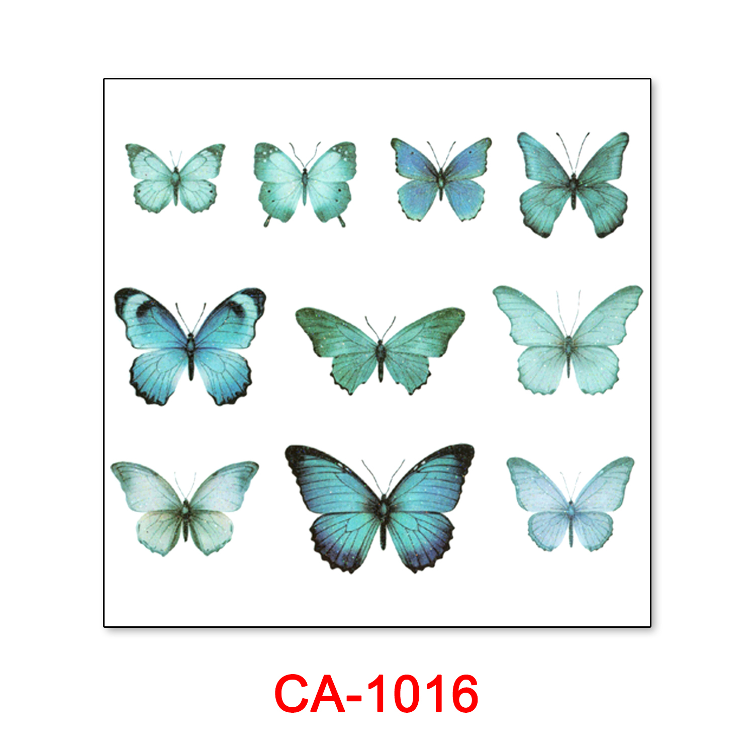 CA-1016