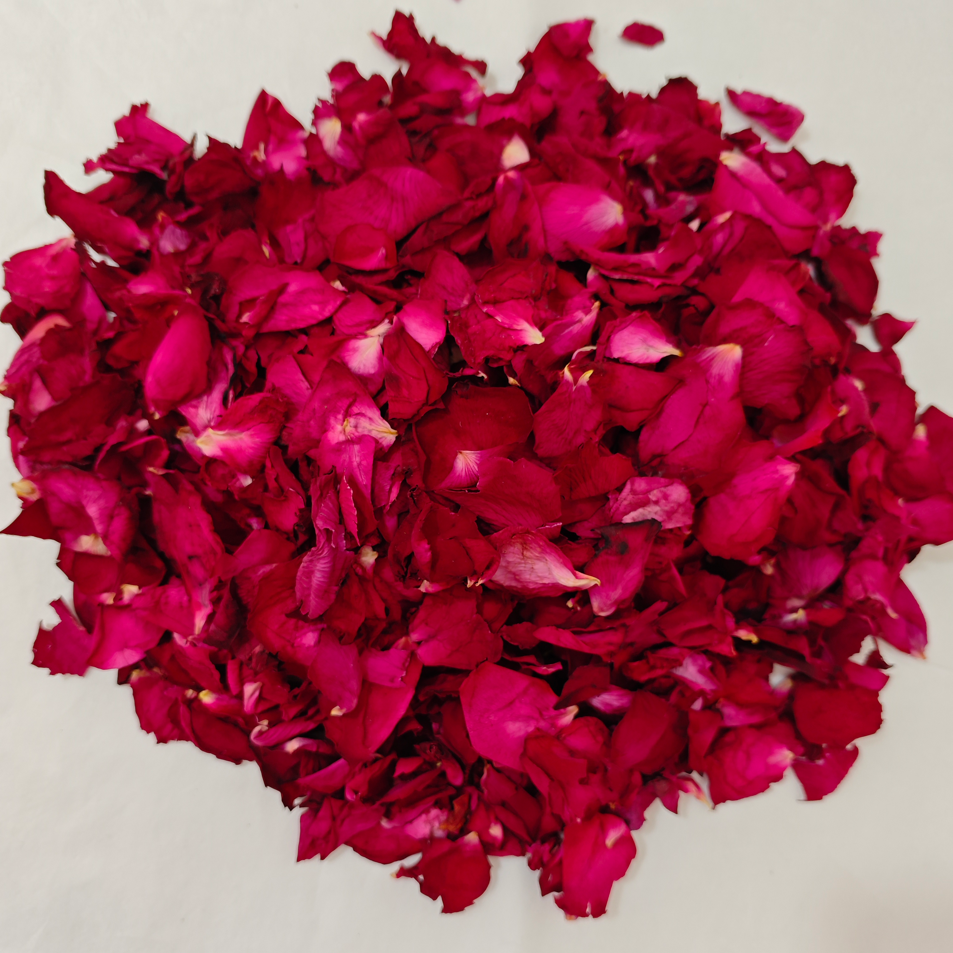 grande rose