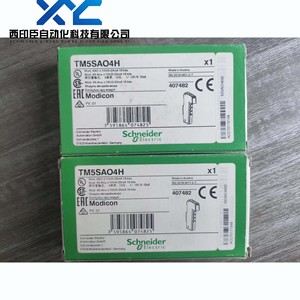 TM5SAO4H TM5SAO4L para entrada analógica Schneider-sonda de temperatura 2I PT100/PT1000 100% nuevo y Original en Stock - Product Image 2