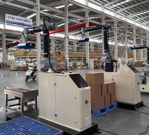 Gran oferta, nuevo Robot de apilamiento, paletizador de embalaje de producción automática con sistema PLC para Robot de máquina de línea de paletización