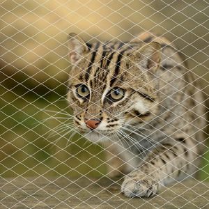 猫用保護ネットカスタム透明猫用セーフティネット猫用バルコニーネット - Product Image 4