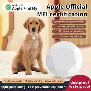 MFI认证迷你全球定位系统宠物跟踪器小型防丢装置，带4g网络IP67防水车钥匙 & 狗远程全球跟踪