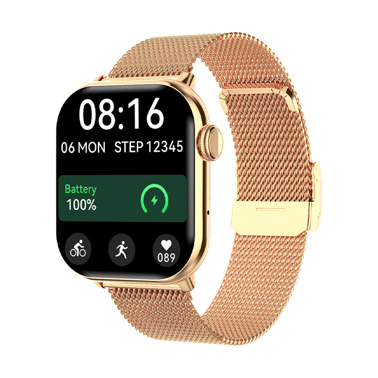 Gold+steel strap