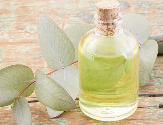 HPLC Huile essentielle d'eucalyptus aromatique pur pour lutter contre le gonflement CAS 470-82-6 3