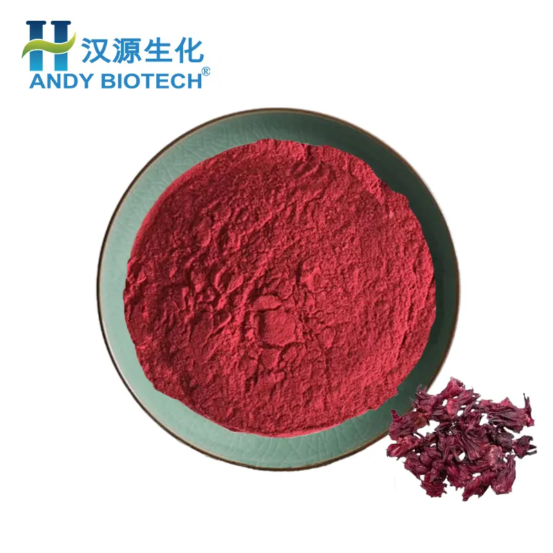 Preço a granel Food Coloring Natural E20 Hibiscus Flower Extract Pó