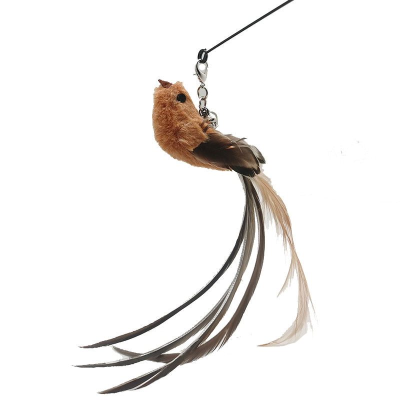 vida bird-Brown