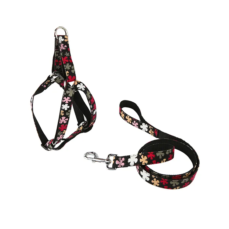 Modern style OEM design custom printing dog collar flower pattern luxury nylon pet leash