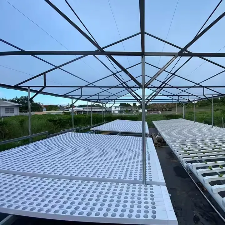 Canal de cama de plántulas de vegetales/flores/frutas para agricultura