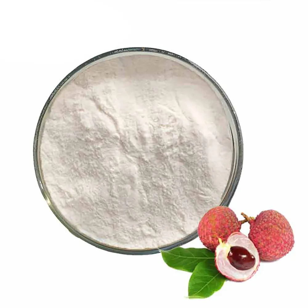 HERBASEA high quality best selling lychee powder lychee fruit powder lychee juice powder