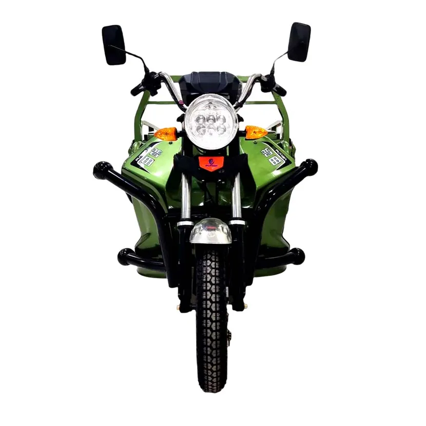 Fabrik Direkt verkauf Motobyke Adult Motor Motorrad für Fracht Dreirad Fahrrad