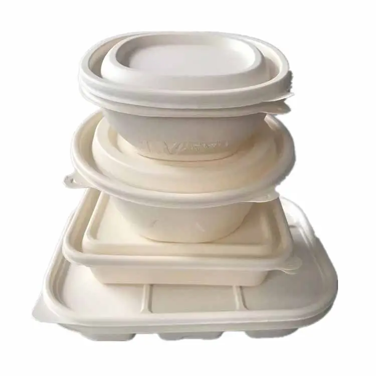 쌀 초밥 디저트 맞춤형 테이크 아웃 식품 플라스틱 상자 사용자 정의 테이크 아웃 도시락 상자