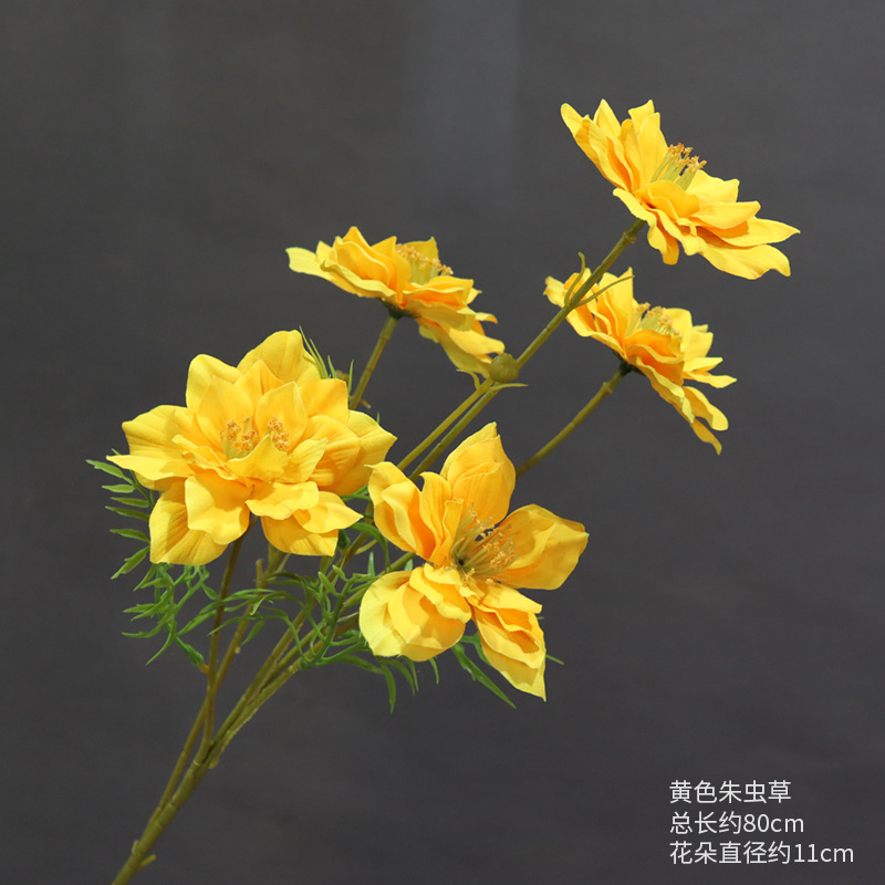 Yellow Cordyceps Narcissus, One Branch