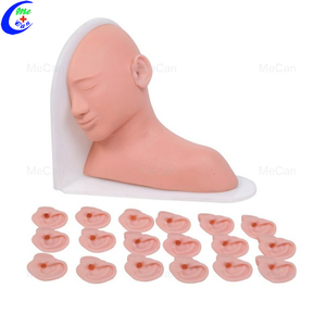 İnsan kulak muayene modeli tıbbi öğretim eğitimi anatomik Model tıbbi eğitim simülatörleri - Product Image 2