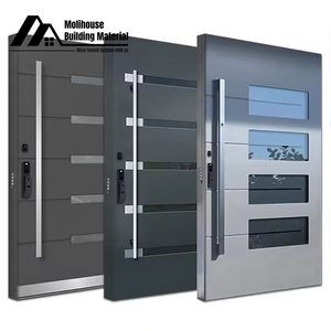 Görkemli entryway tabloları dijital akıllı giriş sistemi kasırga dayanıklı güvenlik pivot kapı - Product Image 1