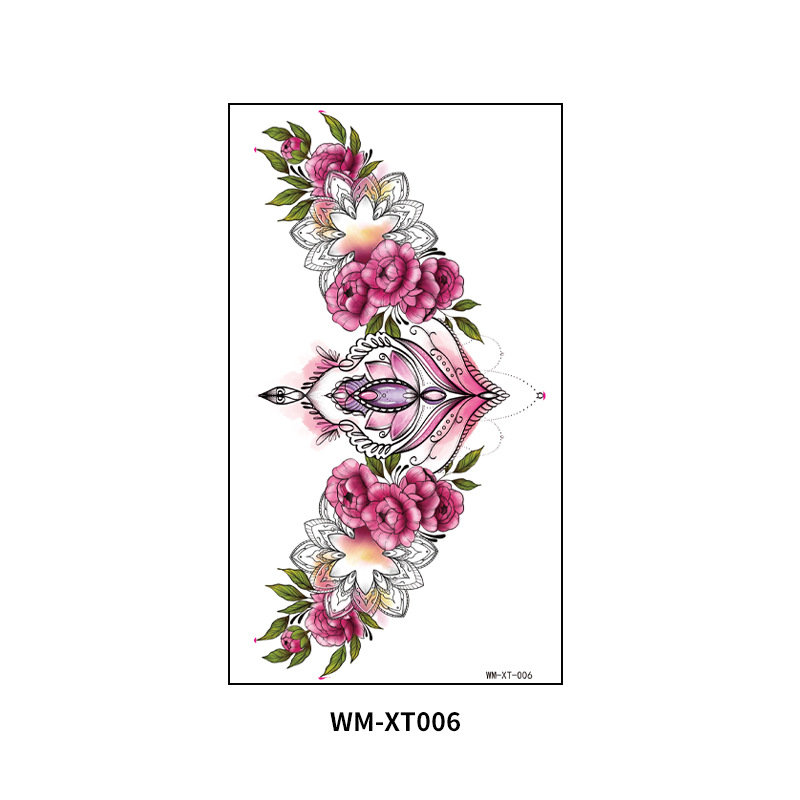 WM-XT-006