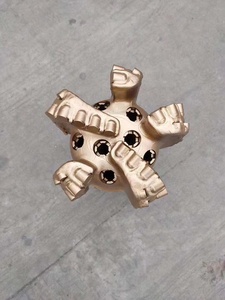 Fabrika satış ark şekli 1613 PDC olmayan çekirdekli matkap ucu 215mm PDC matkap ucu - Product Image 2