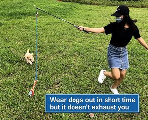 犬のためのインタラクティブな浮気ポールおもちゃペットフリースロープテザールアーおもちゃエクササイズトレーニングで耐久性のあるティーザーワンドを追いかける - Product Image 2
