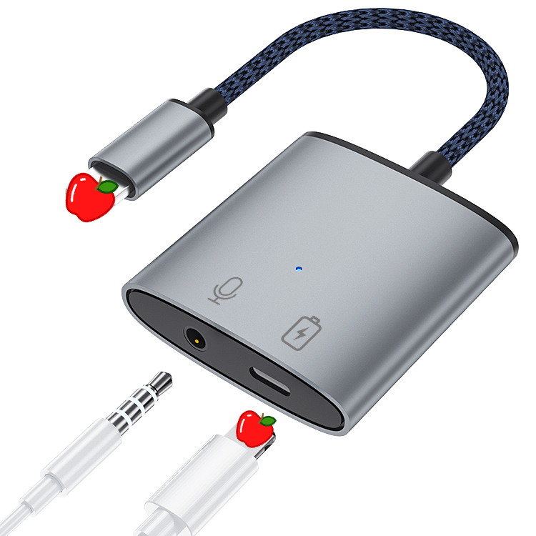 3,5 mm + 8 broches pour iPhone