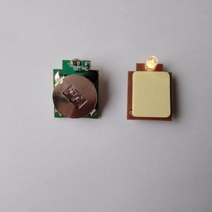 ミニCr2032 Cr2450バッテリーシングルカラー点滅LEDライトモジュール - Product Image 1