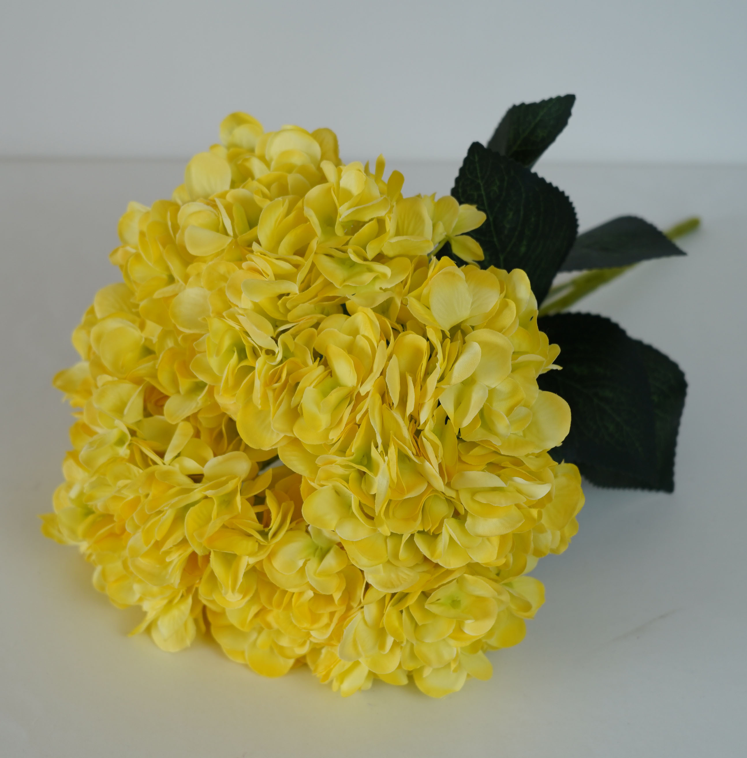 Jaune