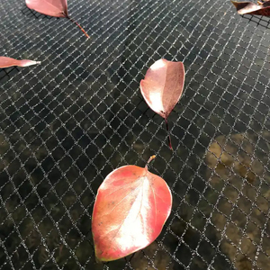 A basso prezzo di plastica UV Anti uccello netto di controllo degli uccelli rete di rete per uccelli per la protezione del giardino - Product Image 5