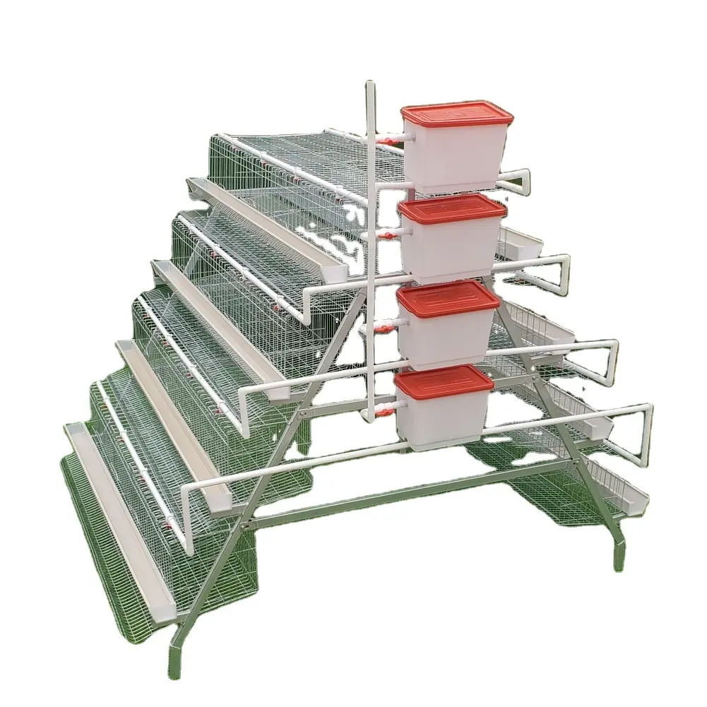 Cage de moulage automatique pour poules, cage de batterie de haute qualité