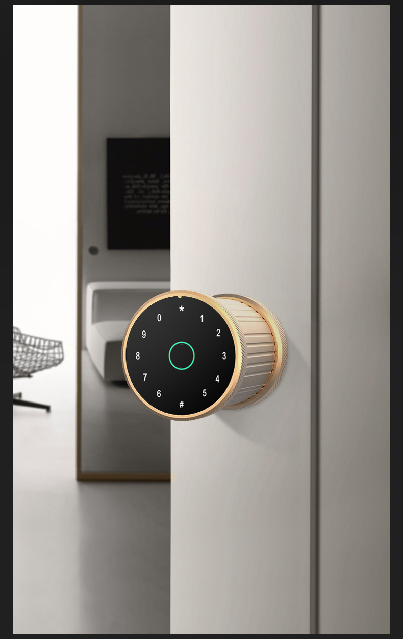 door lock guangdong*hyh hardware adobe master collection electronics locks ttlock finger print door lock