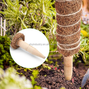 2024 nhà máy bán hàng trực tiếp củ cải chậu cây leo mây cực dừa cọ leo mây thanh nóng sản phẩm vườn - Product Image 6