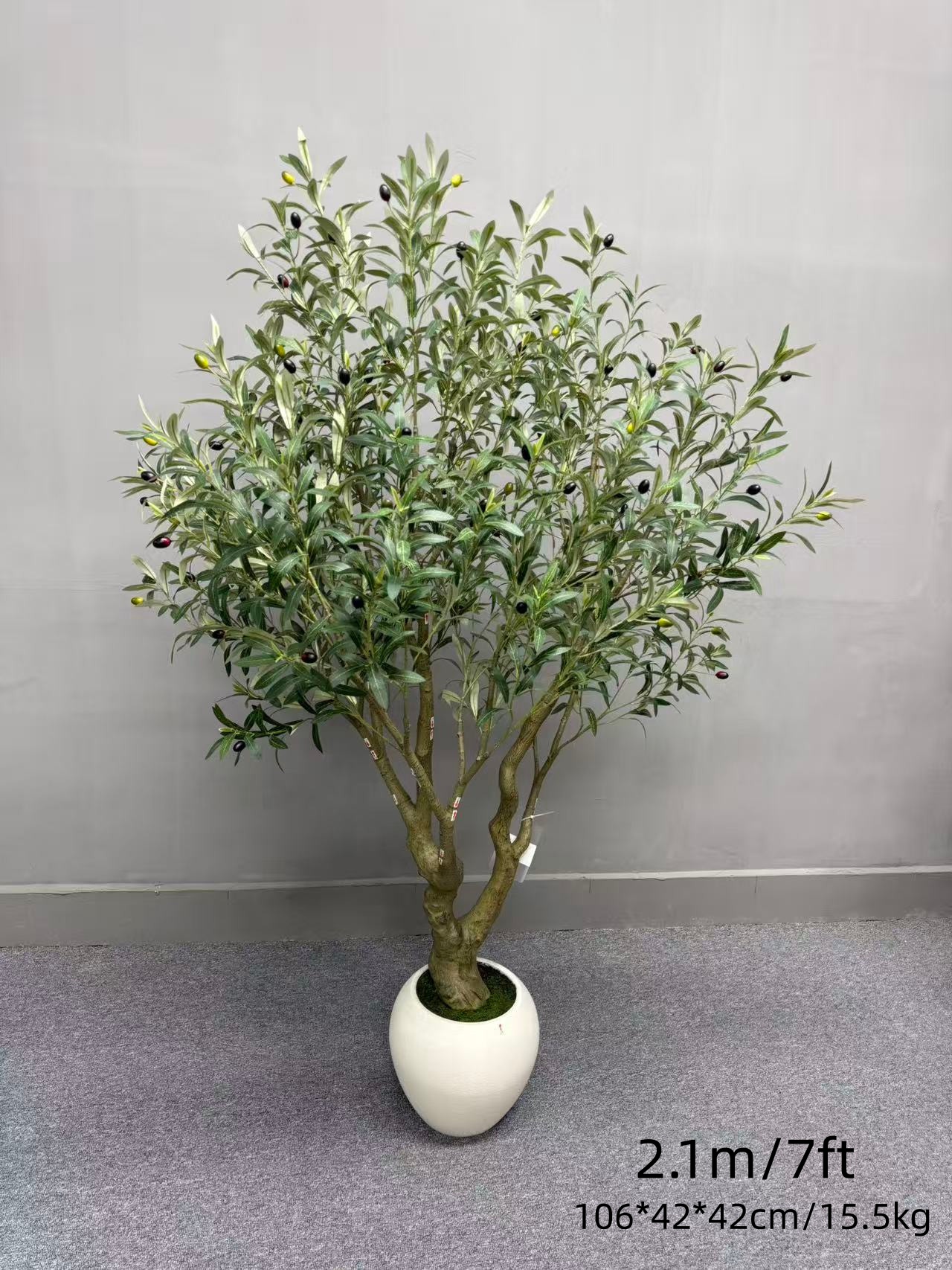 B-210 cm 7 pi Olive avec pot en céramique