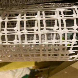 Redes lisas de plástico extruido/malla de plástico para avicultura/Red de alambre plano de plástico para línea de máquina de pollo