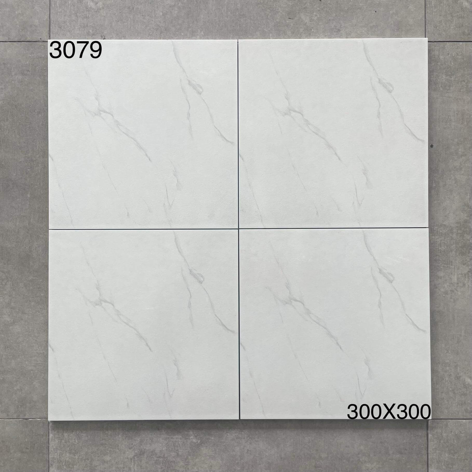 3079