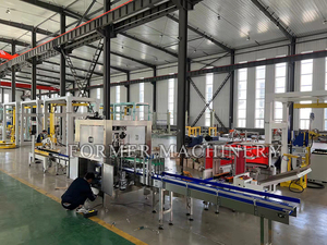 Empaquetador automático de cajas de alta velocidad para línea de máquina de envasado de cartón de agua de botella con sistema de carga