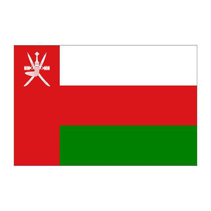 Door to Door Freight ForwarderサウジアラビアUAE YemenMuscat Oman Muscat Salalah Soharへの出荷