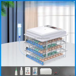Çift güç Mini otomatik yumurta kuluçka kullanılan Oeuf Couveuse dijital özellikleri ile - Product Image 4