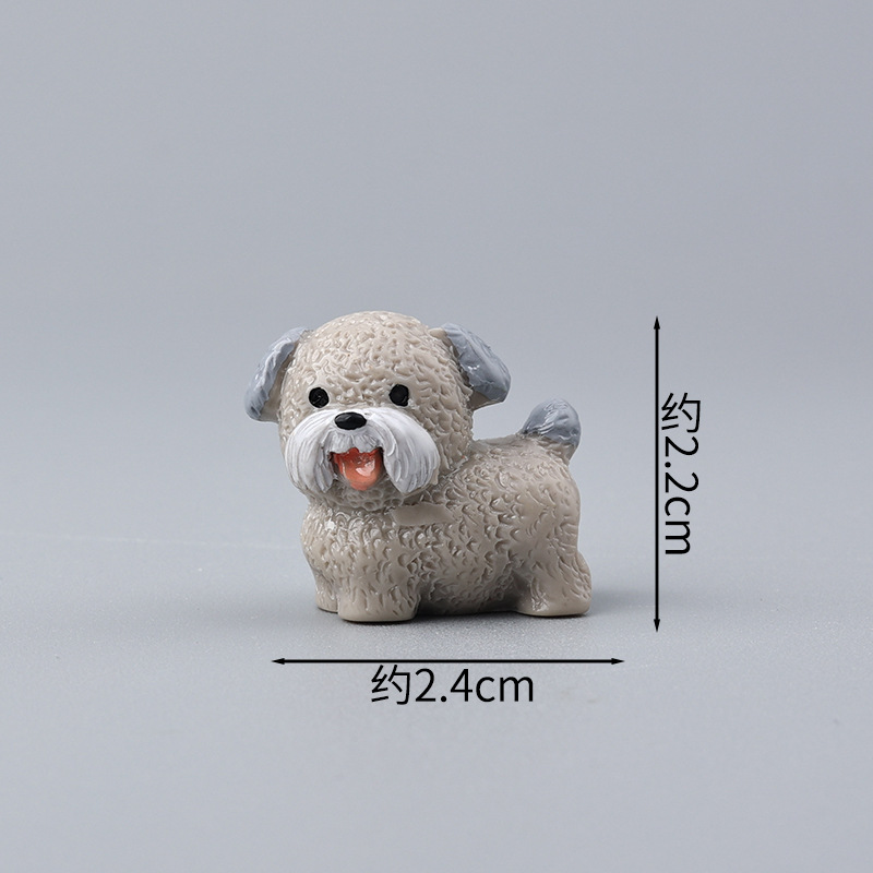 Couleur unie Schnauzer gris