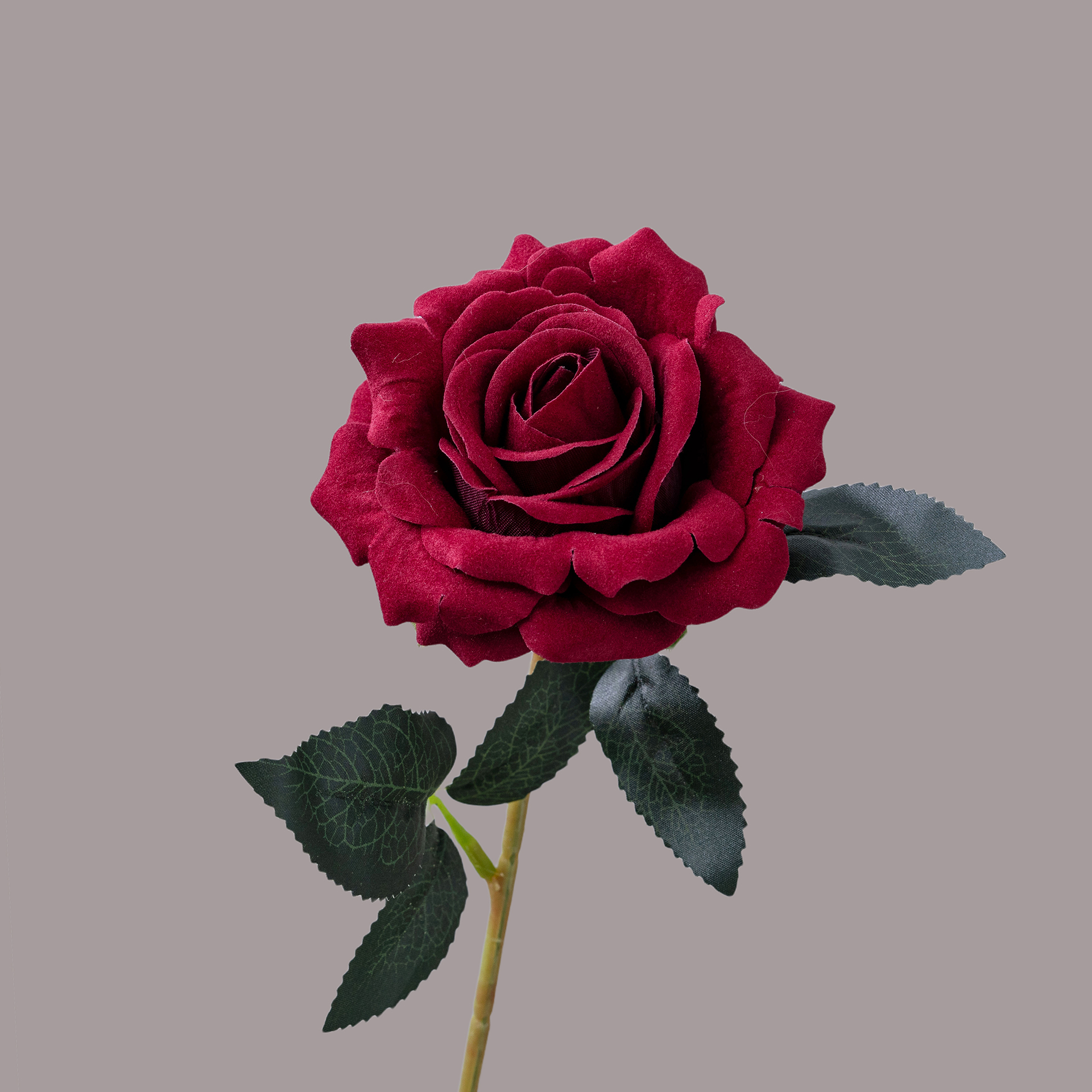 Rojo oscuro