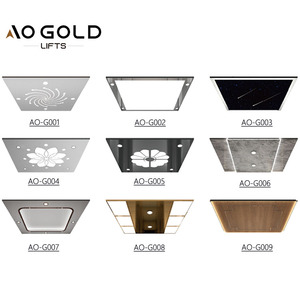 Platform Elevator For Vertical Platform <strong>Lift</strong> Cost <strong>Low</strong> <strong>Rise</strong> <strong>Lift</strong>