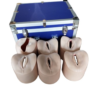 CERVIX and BIRTH CANAL MODEL for Educational <strong>Explanation</strong> - Product Image 1