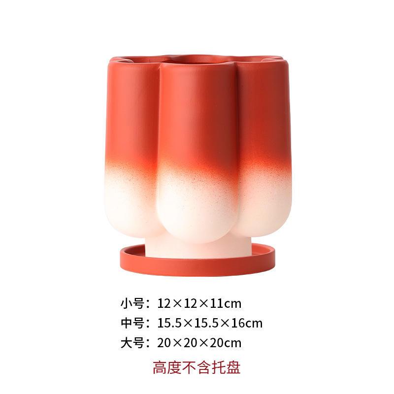 Red Six petals winter