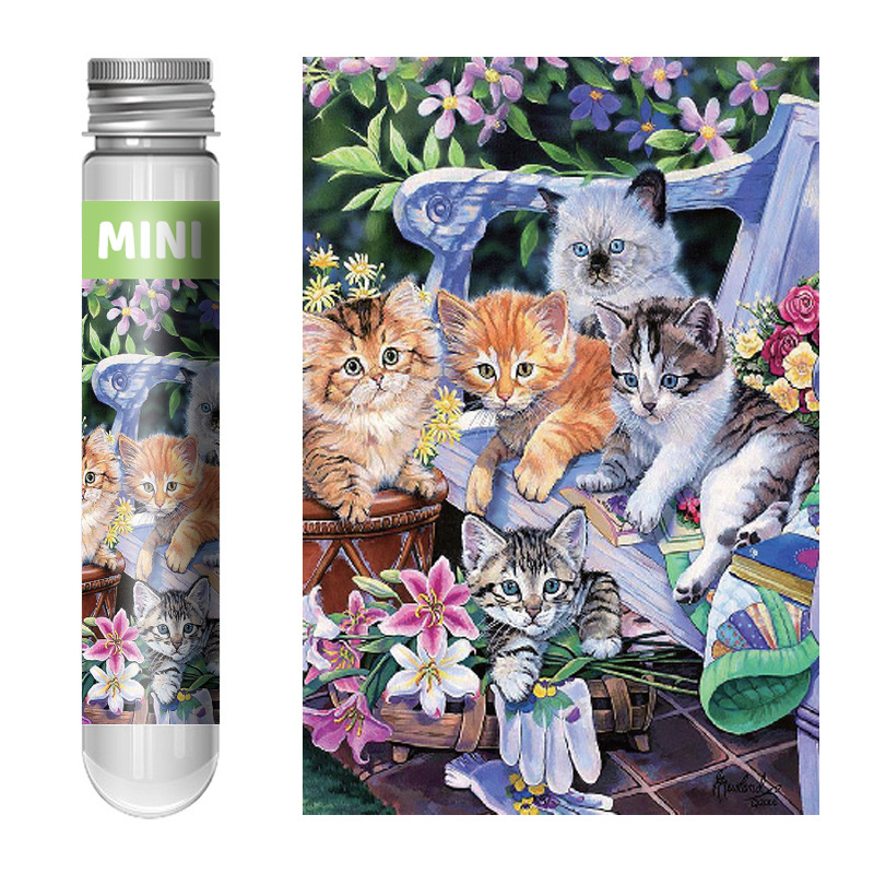 33-113 gato del parque