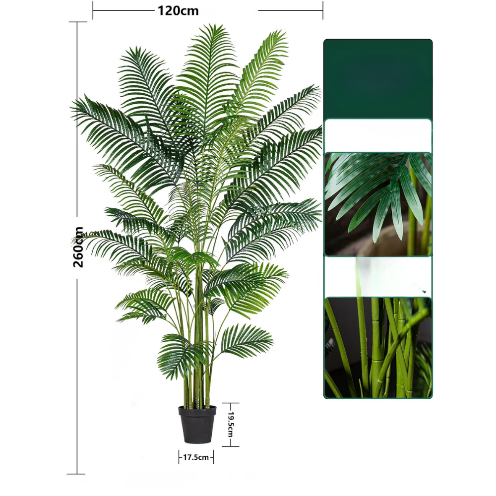 Lames épaissies agrandies de palmier arec géant vert de 2,6 m