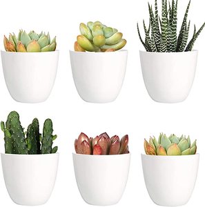 Masa dekoratif fantezi tembel mini küçük plastik toptan ot orkide etli bitkiler dikim saksı saksı - Product Image 1